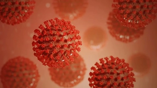 Two Infants Diagnosed with Human Metapneumovirus (HMPV) in Bengaluru